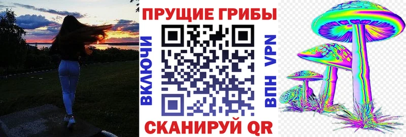 Галлюциногенные грибы Cubensis  как найти   Североуральск 